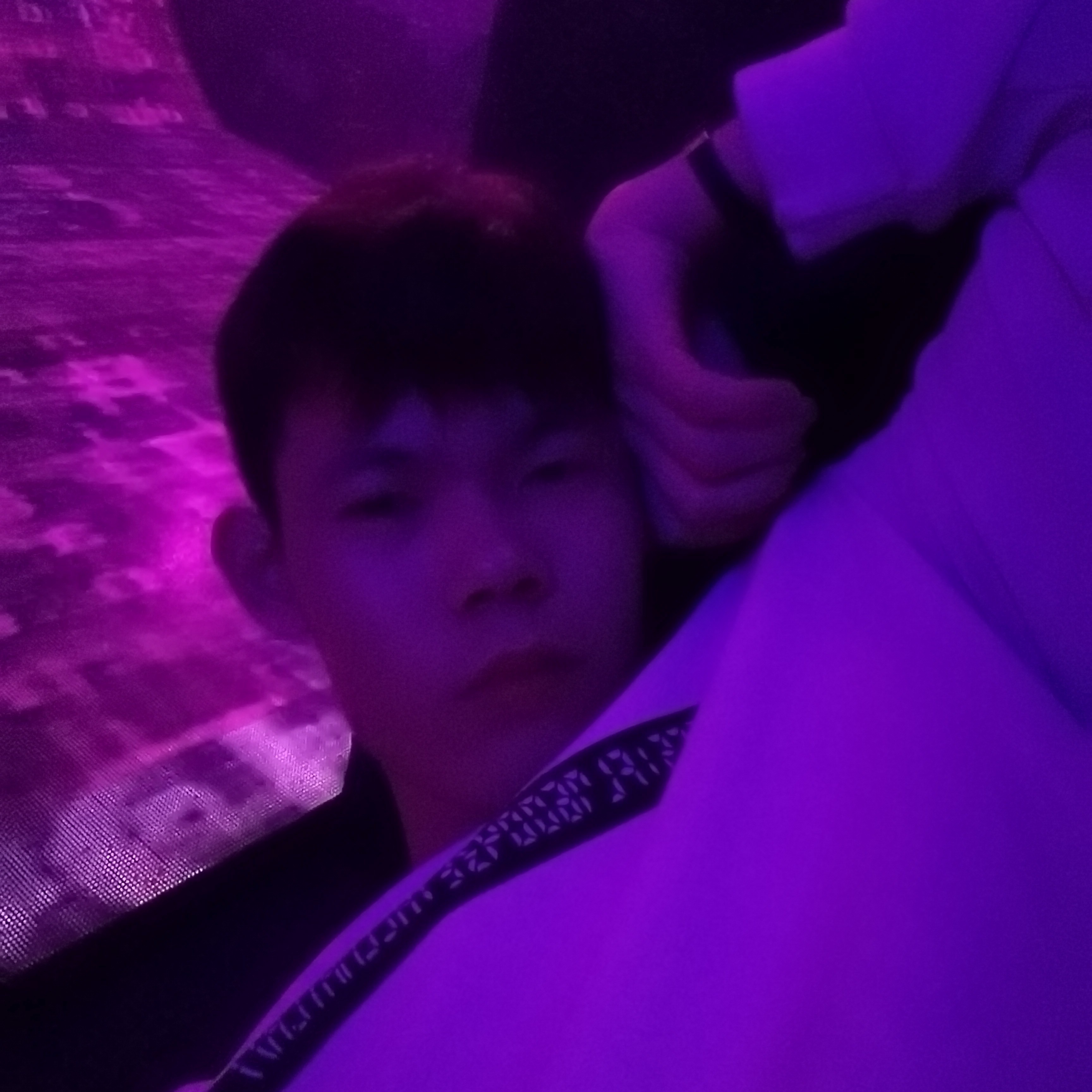 墨海孤欢的照片