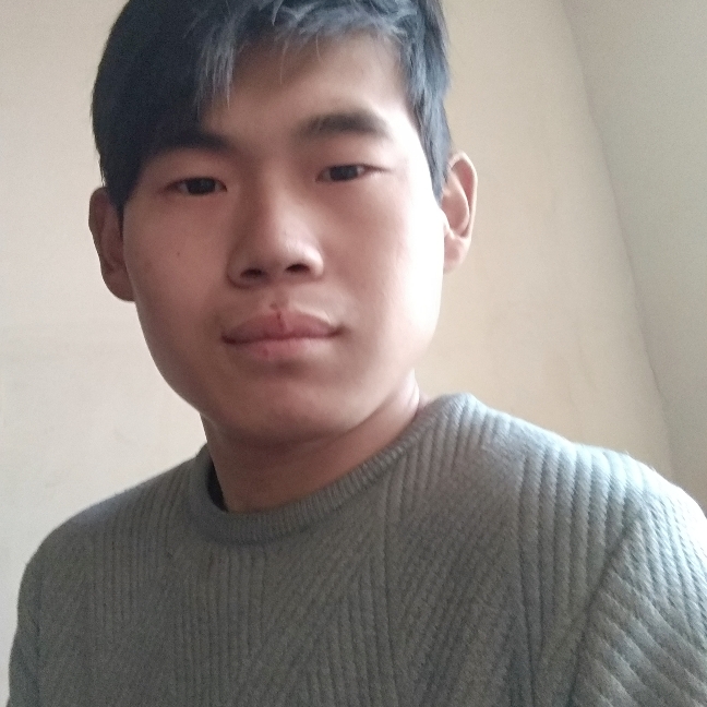 鲤鱼鱼的照片