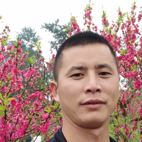 美好迎暖光的照片