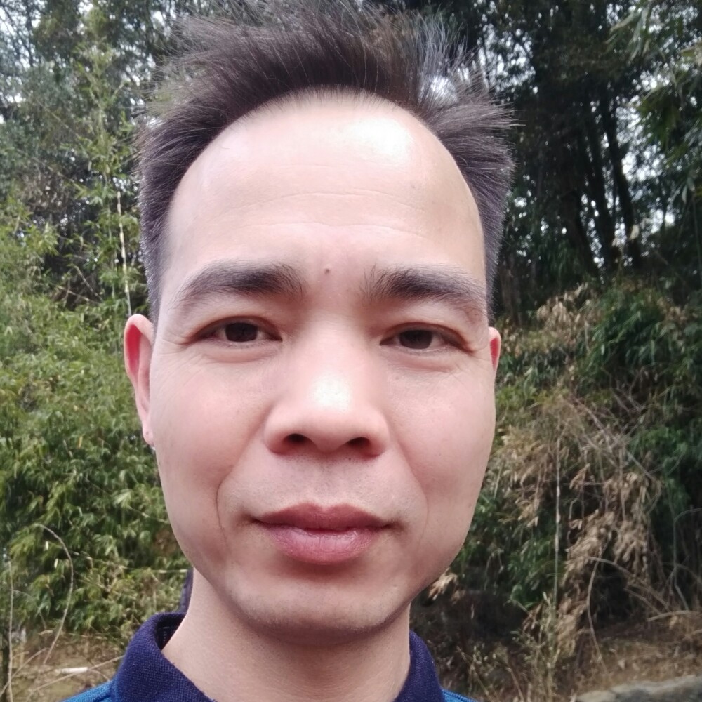 老鼠等待灵巧的照片