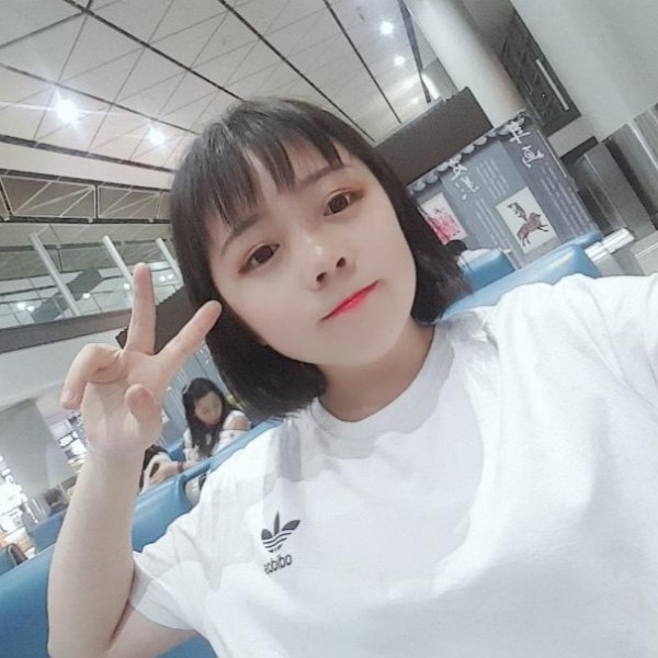 可乐猫咪的照片