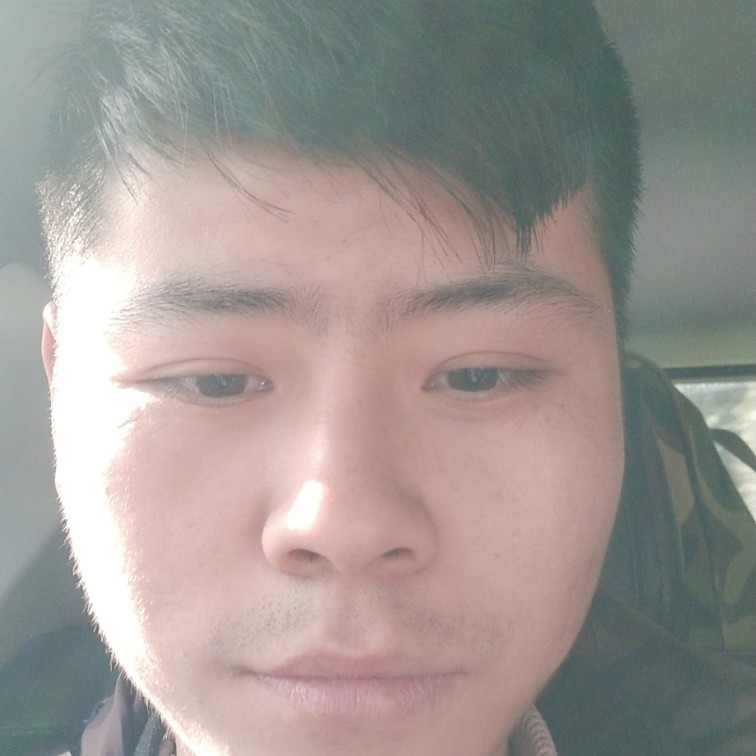 枫叶的隐形的照片