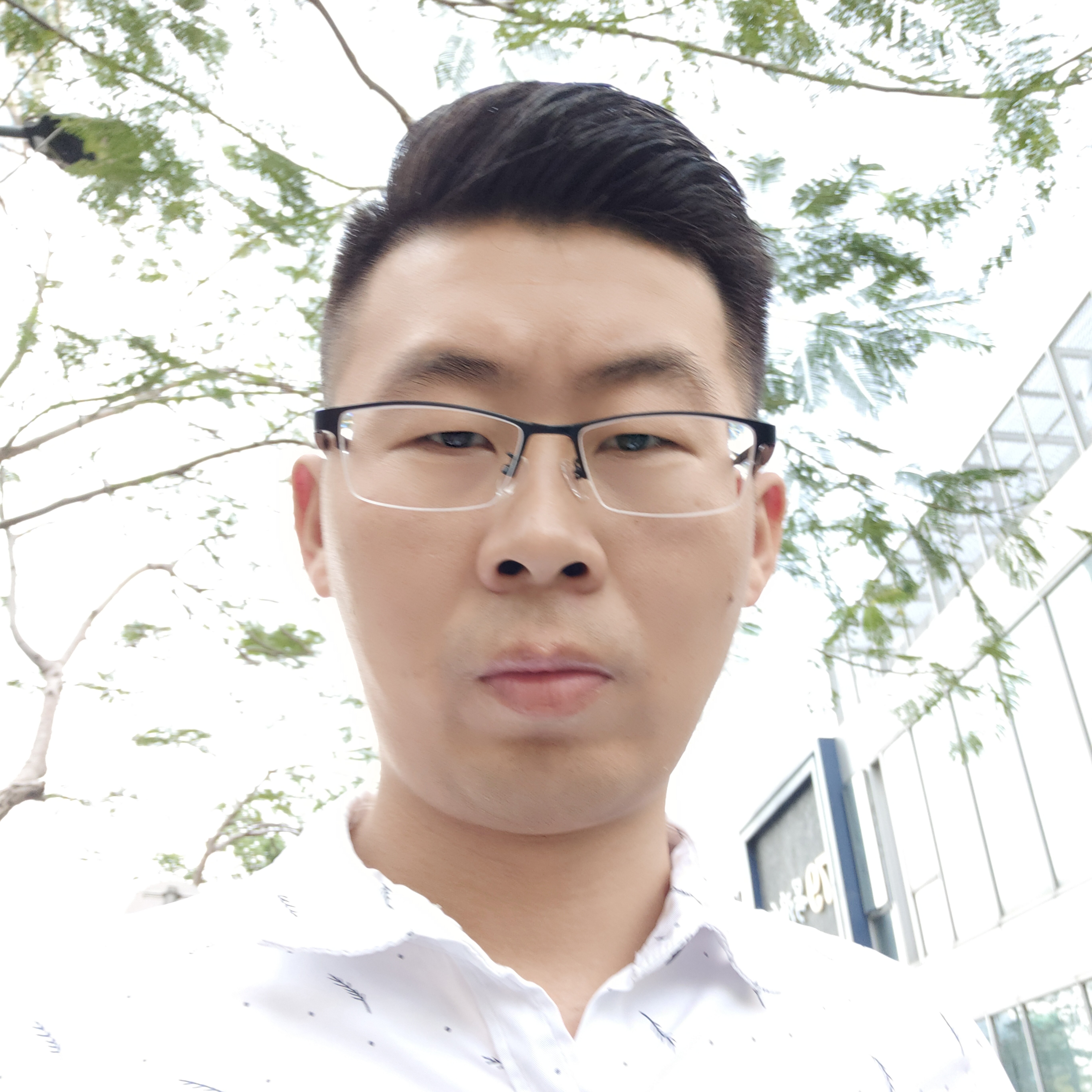 雨结实的照片