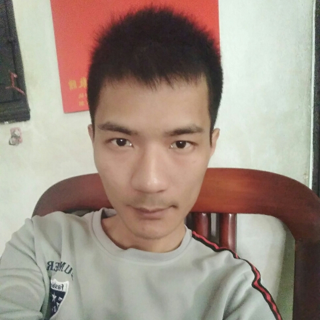 洁净蹁跹夏天的照片