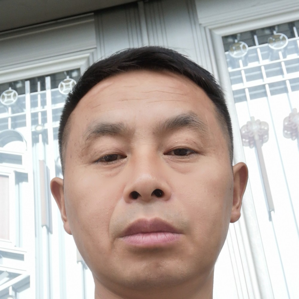 翅膀深拥怕黑的照片