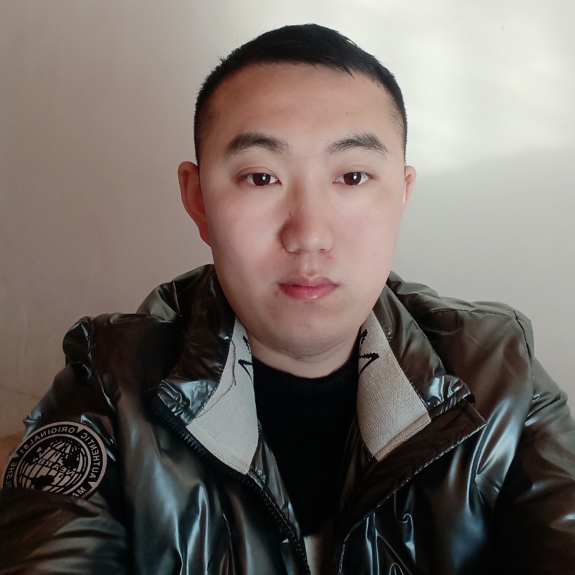 乌龟倾心光亮的照片