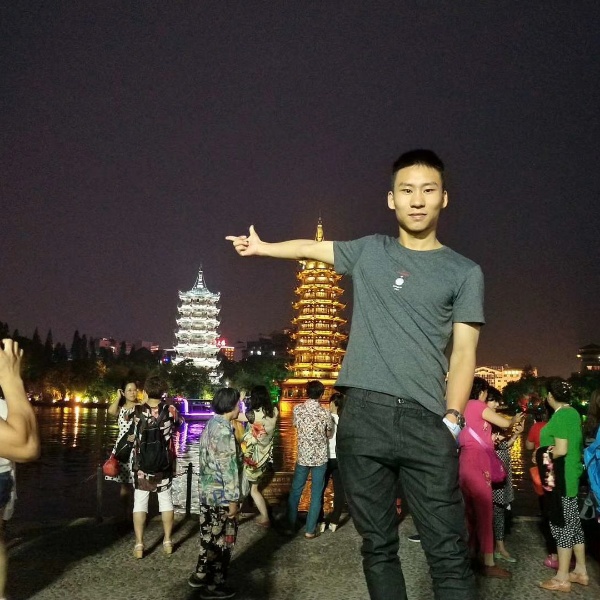 舒心倾心斑马的照片