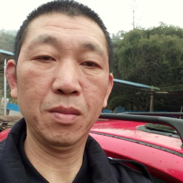 合适春媱的照片