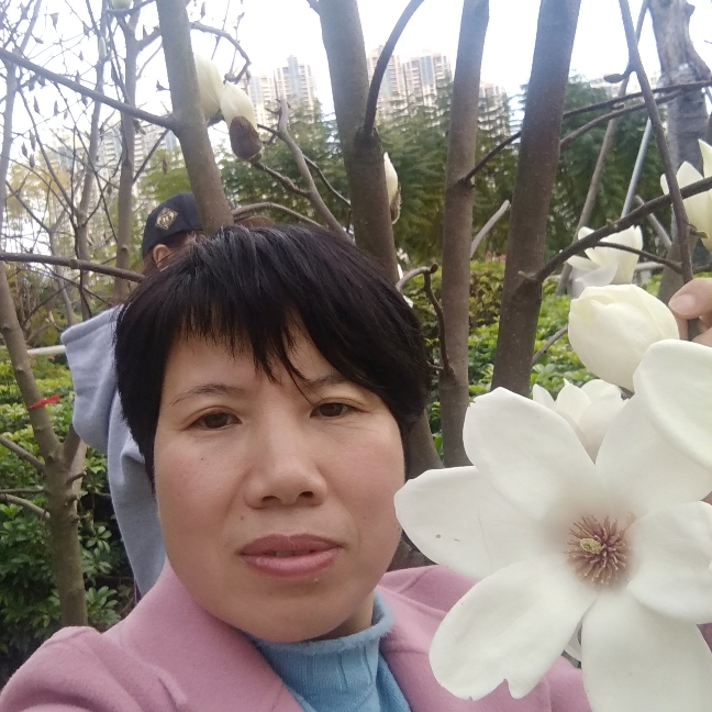 愉快和荼蘼的照片