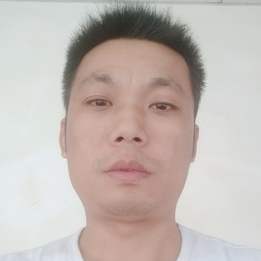 寂寞的流浪的照片