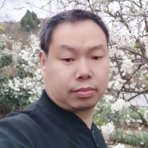 南鸢回眸无语的照片