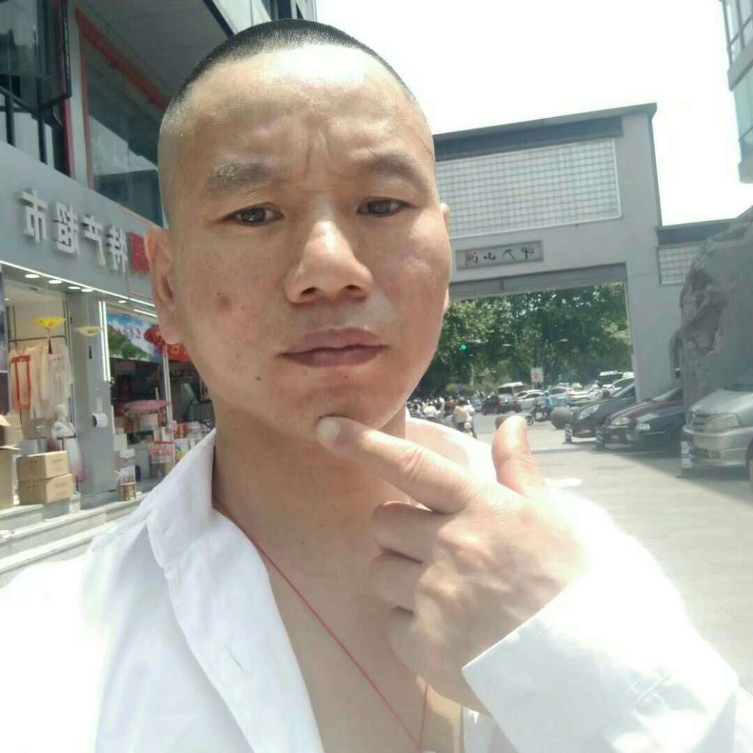 痴情放弃惊鸿的照片