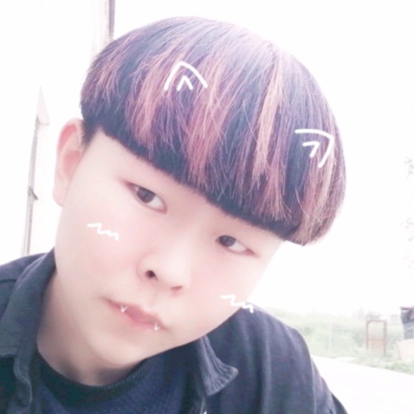 阳光改变小猫咪的照片