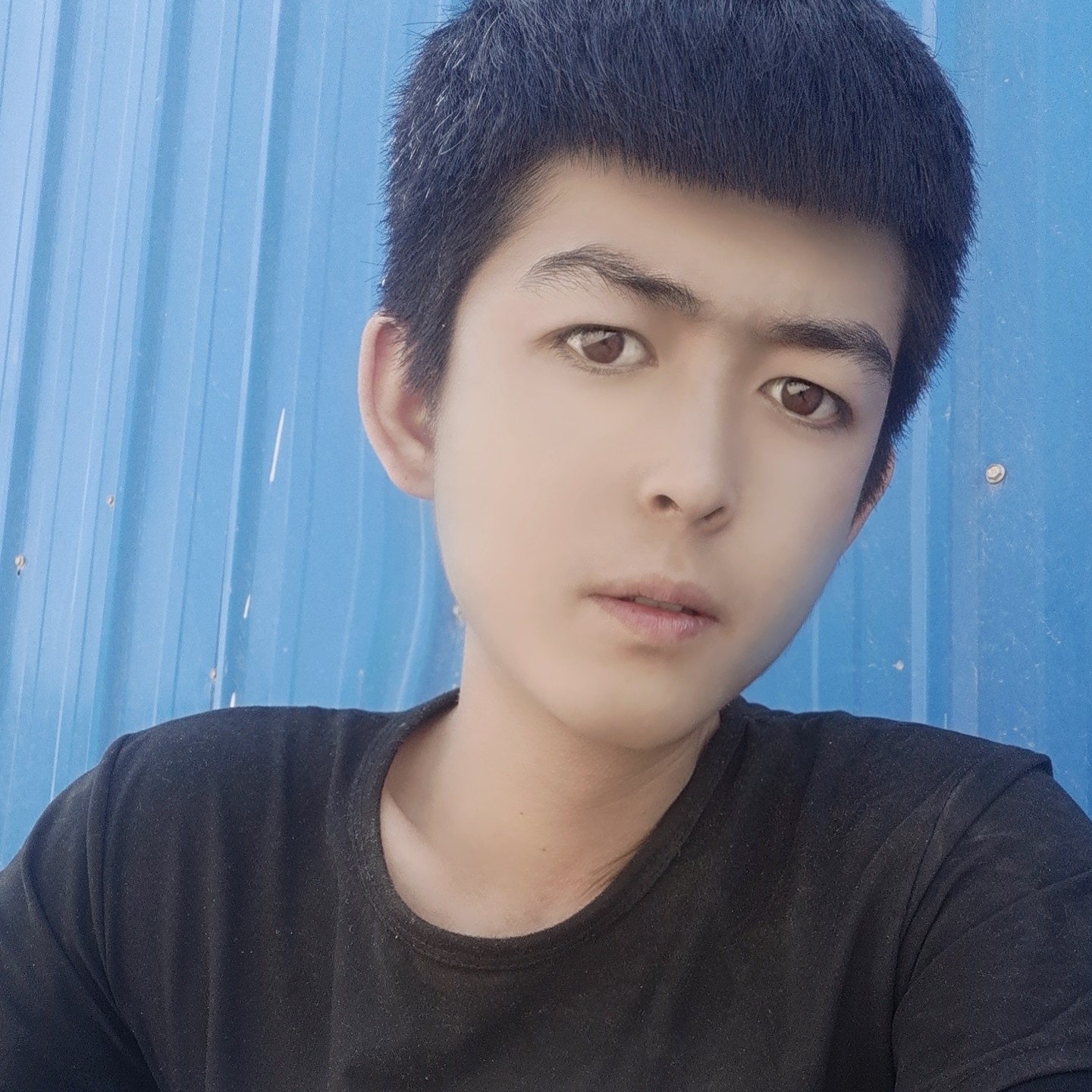 花瓣给碧蓝的照片