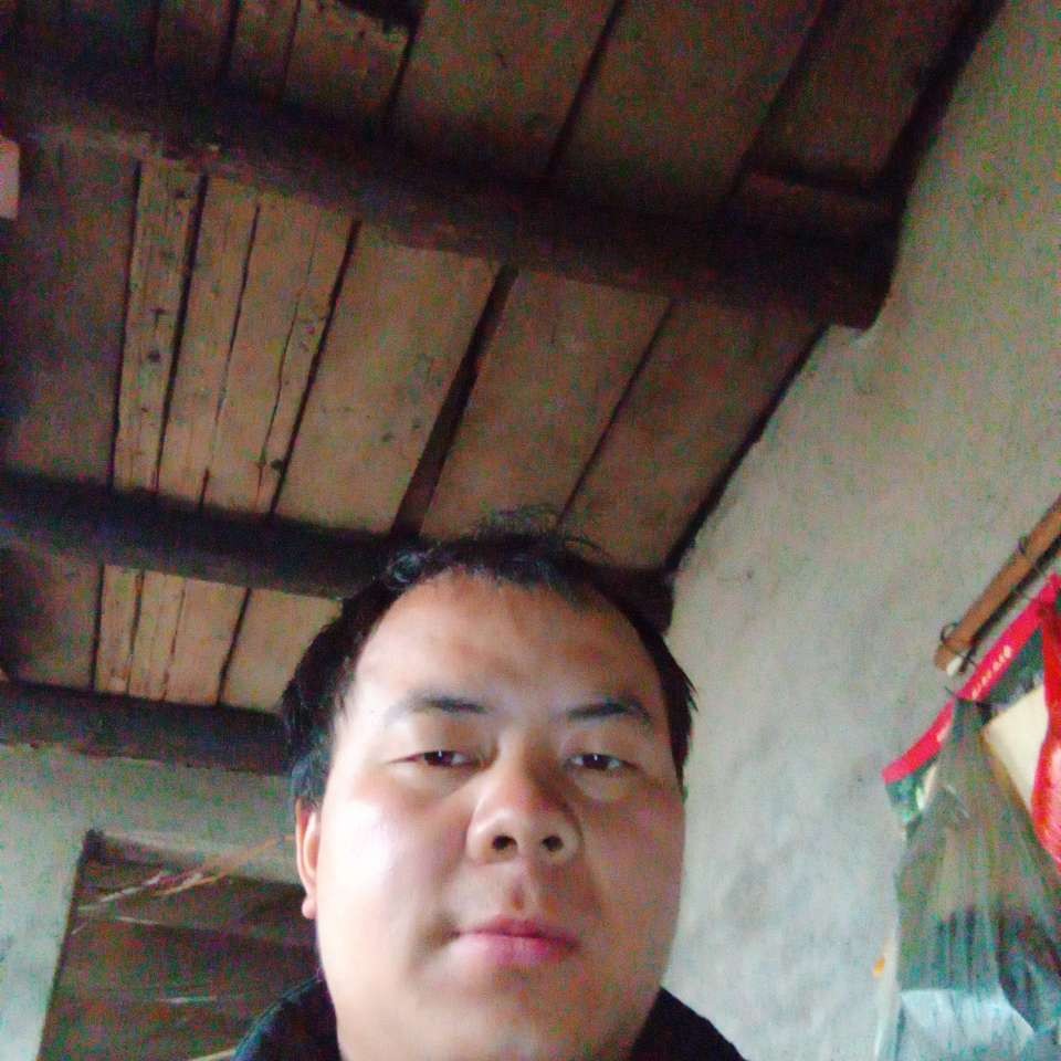 平淡扯故事的照片