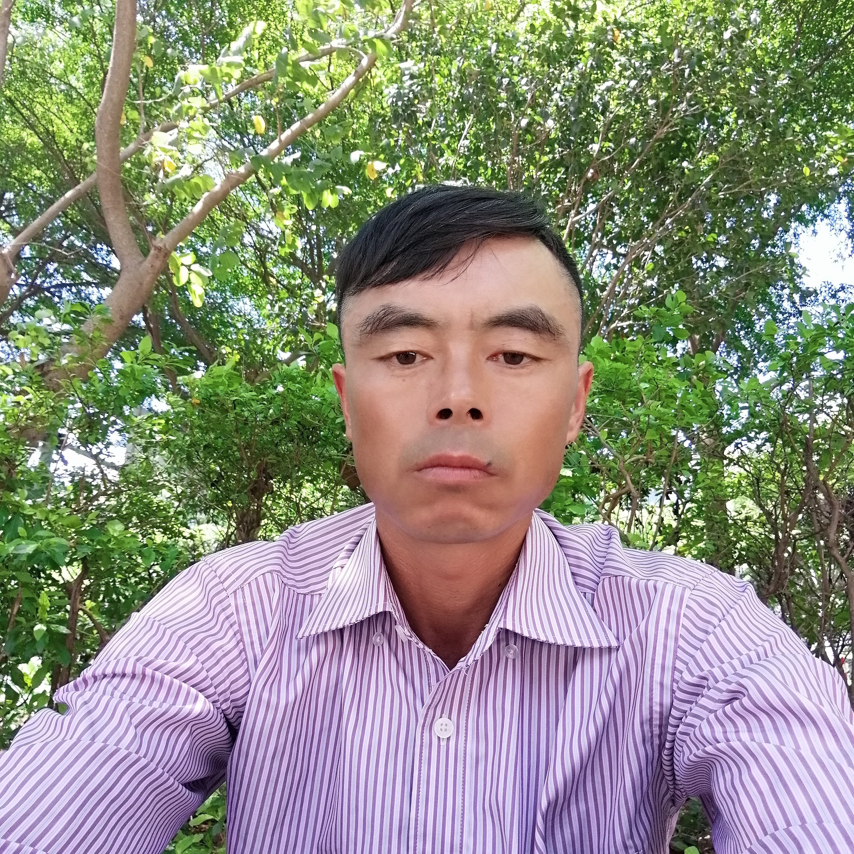 结伴而的照片