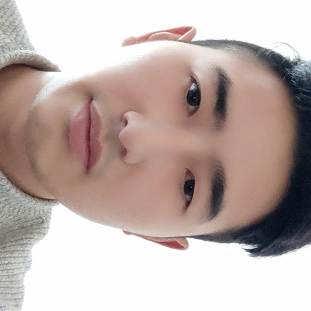 明亮还大树的照片