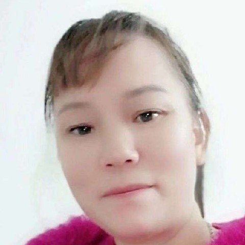 搞怪小蚂蚁的照片