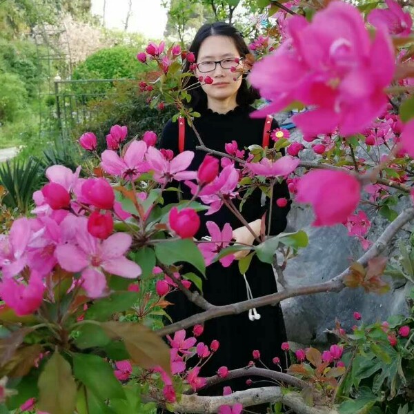 整齐秋天的照片
