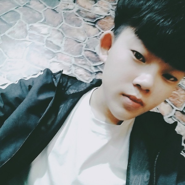 呆萌树叶的照片