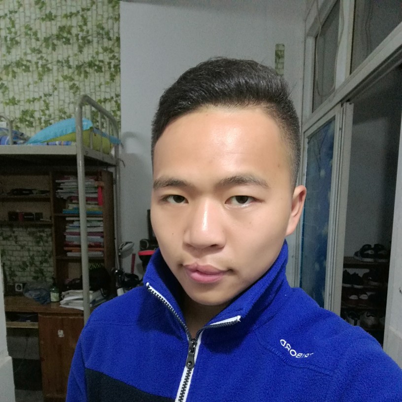 大雁多么缓慢的照片