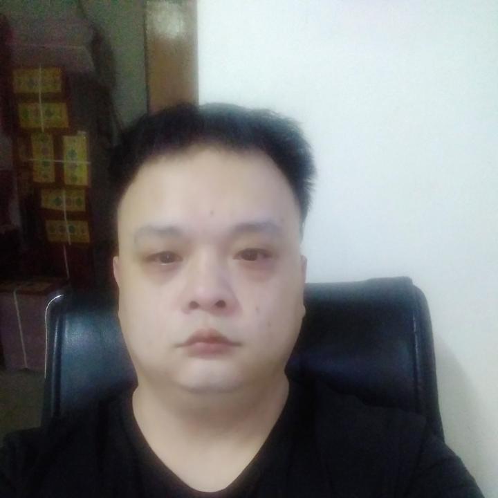 谦让回首黄蜂的照片