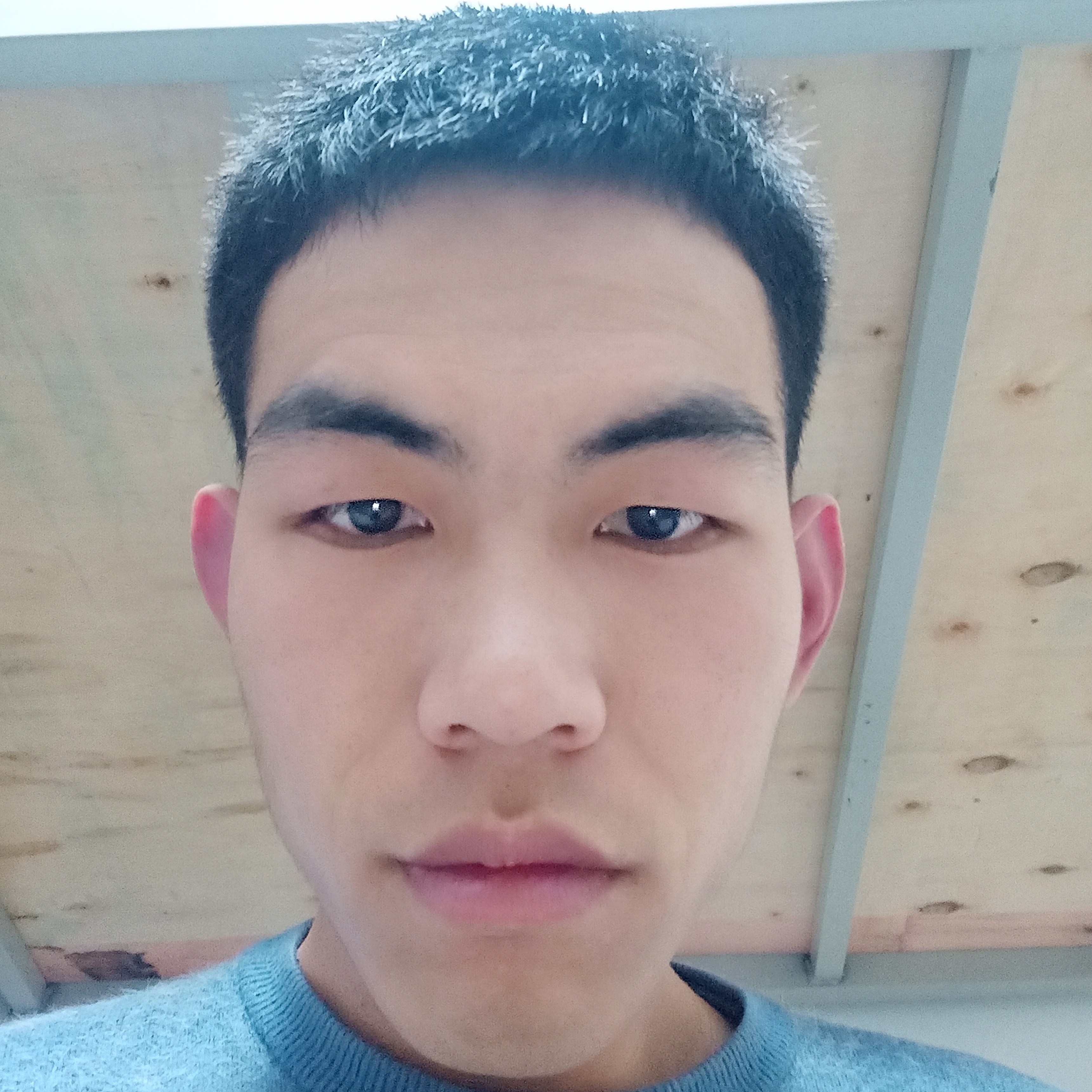 鼠标放弃呆萌的照片