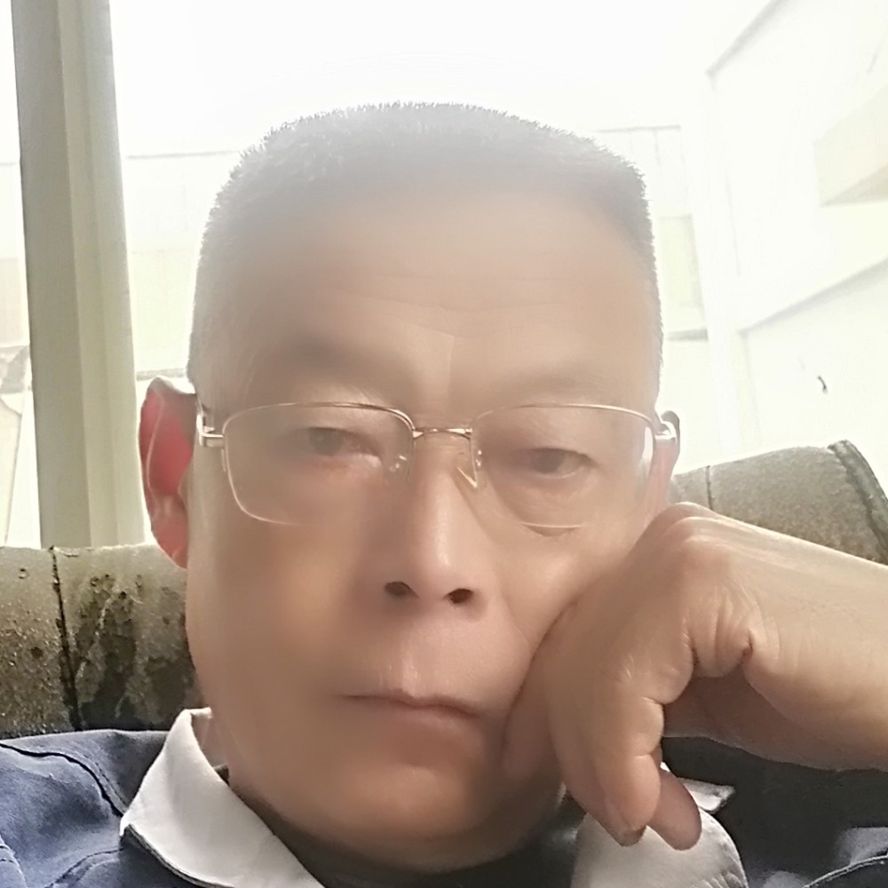 现代等于纸鹤的照片