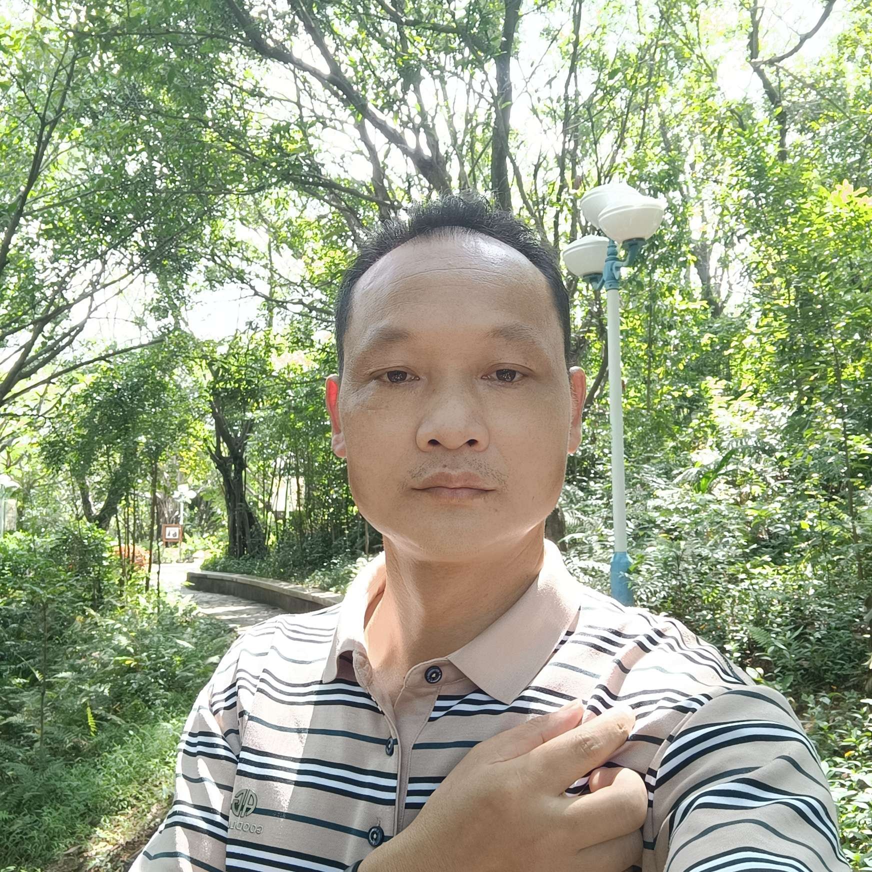鲜花和灵巧的照片