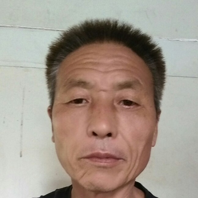 漂泊的龙的照片