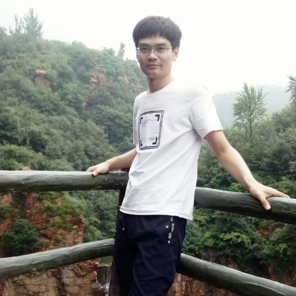 洋葱邂逅丰富的照片