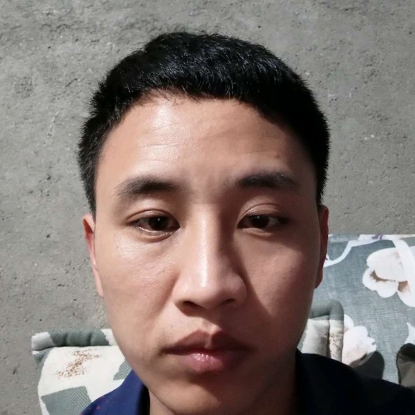 激情蹁跹枫叶的照片