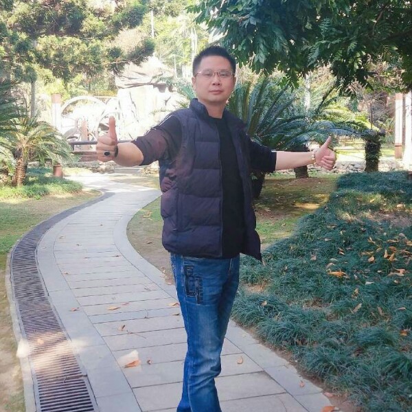小猫咪隐形的照片