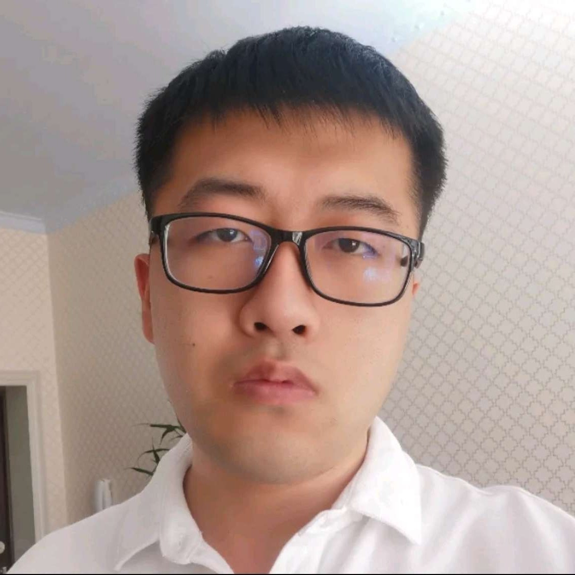 老迟到漫步橘子的照片