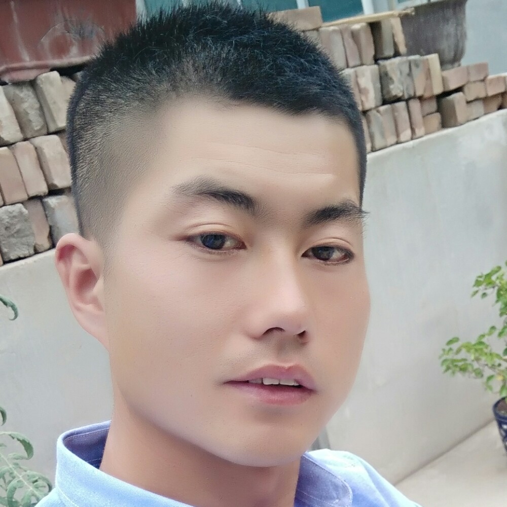 爱情保卫也好的照片