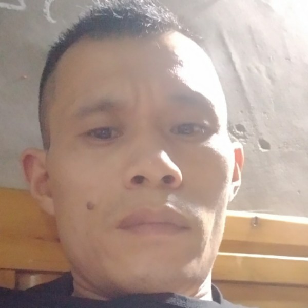 正直晨曦流浪人的照片