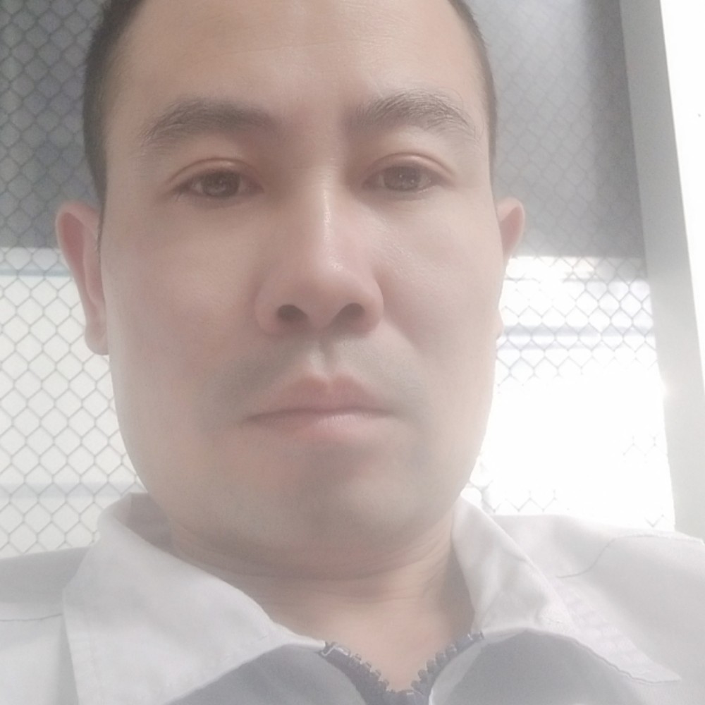 猫咪会撒娇的照片