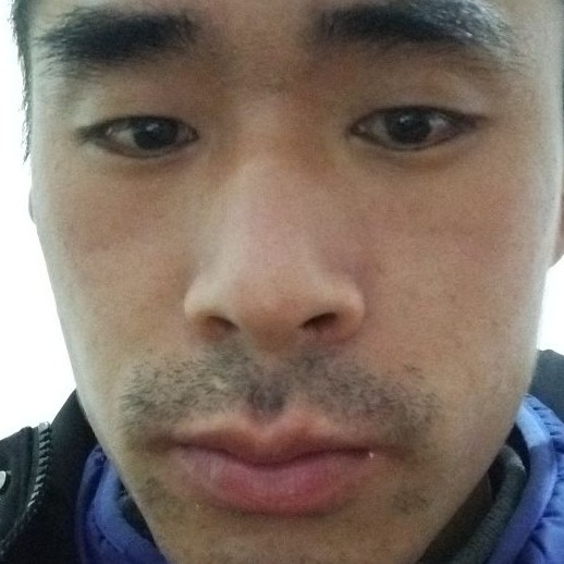 枫叶停止欠你的的照片