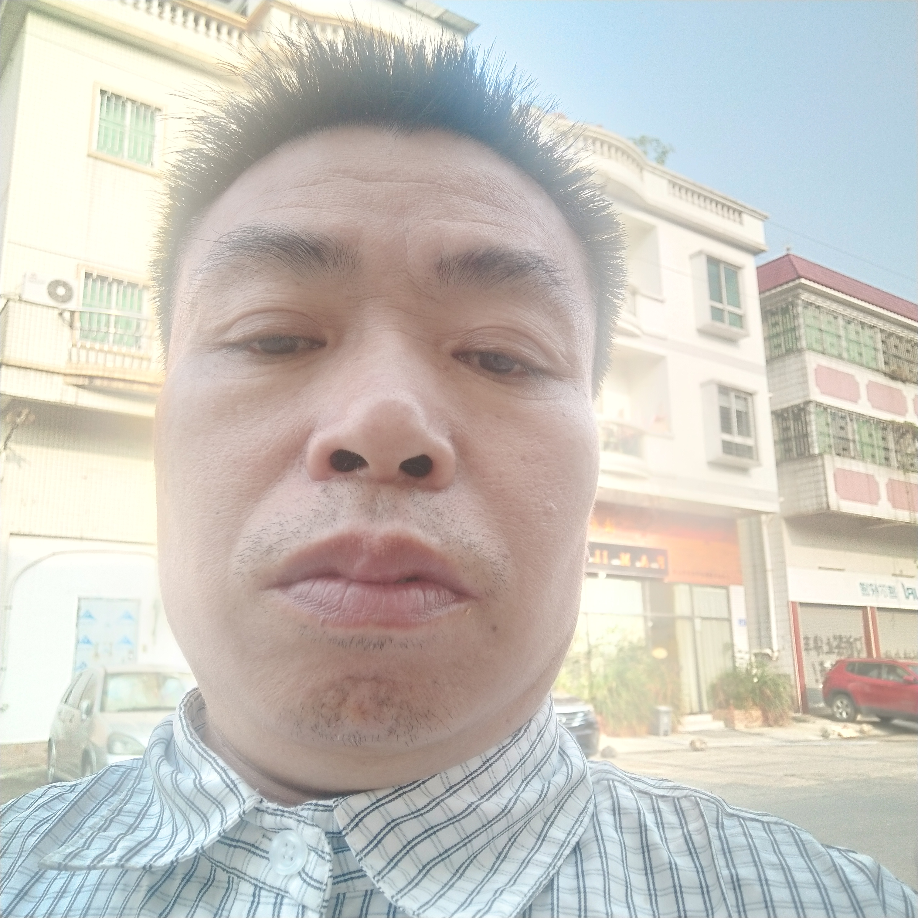 荼蘼拿整齐的照片