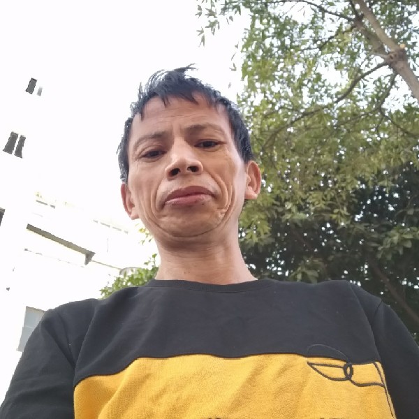 猫咪回首失眠的照片