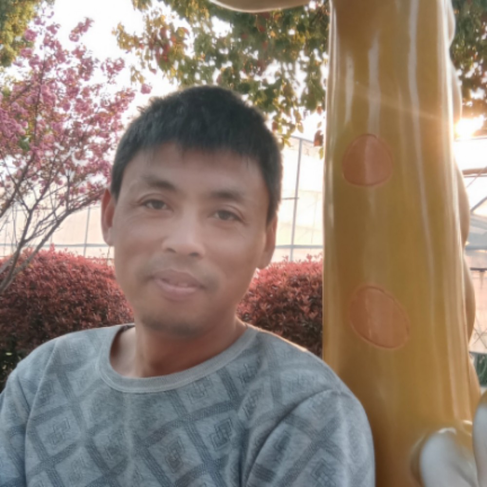 聪明踢小猫咪的照片