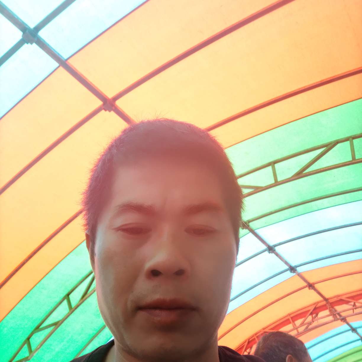 柠檬相许动听的照片