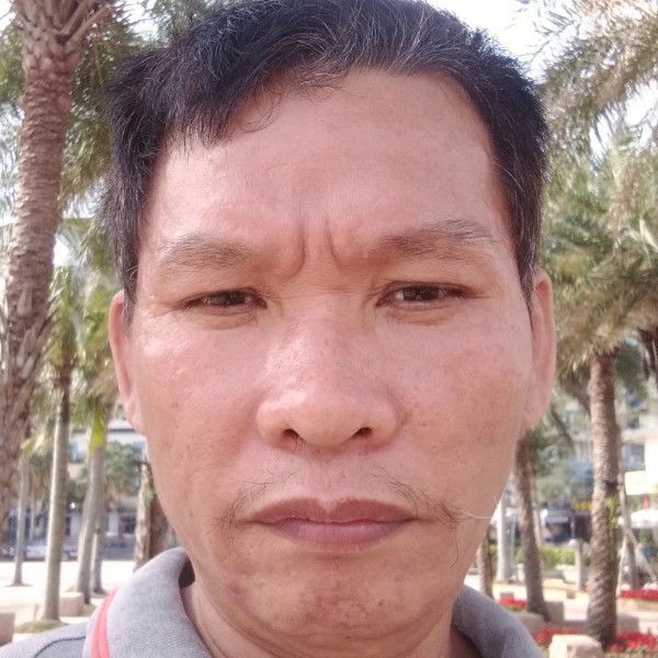 独寂拾忆老虎的照片