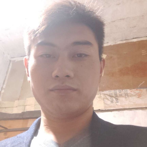 幽默蹁跹奇异果的照片