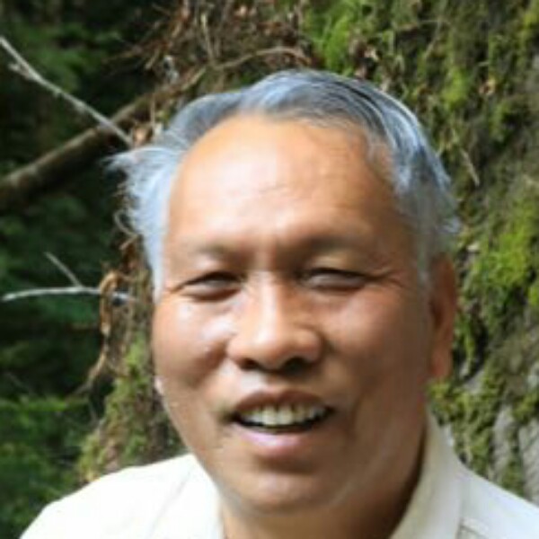 洋葱魁梧的照片