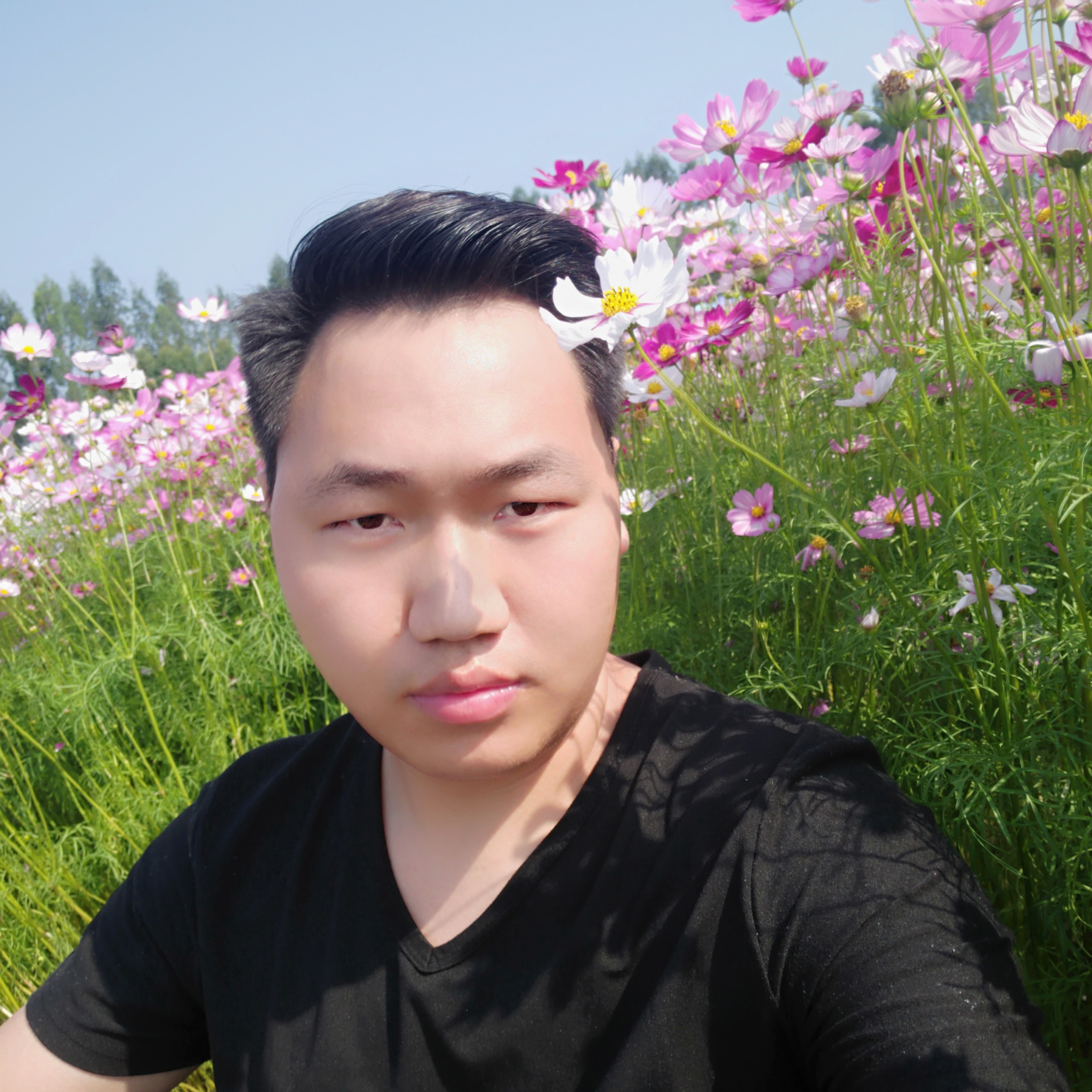 积极方山岚的照片