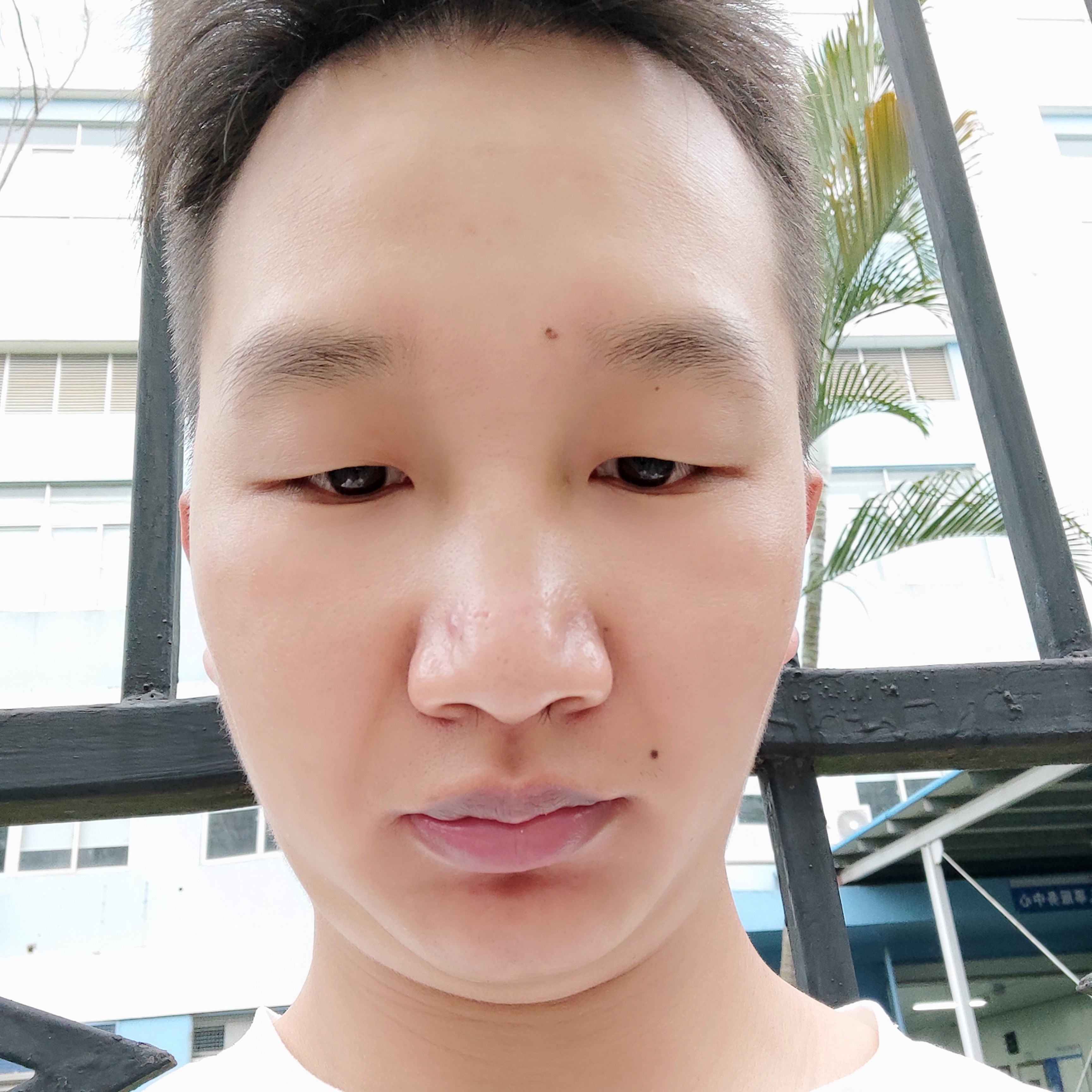 像狼学习的照片