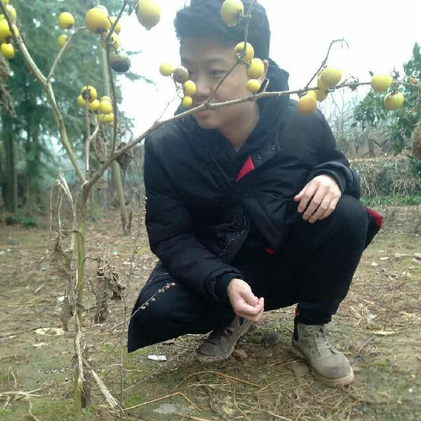 翟先森的照片