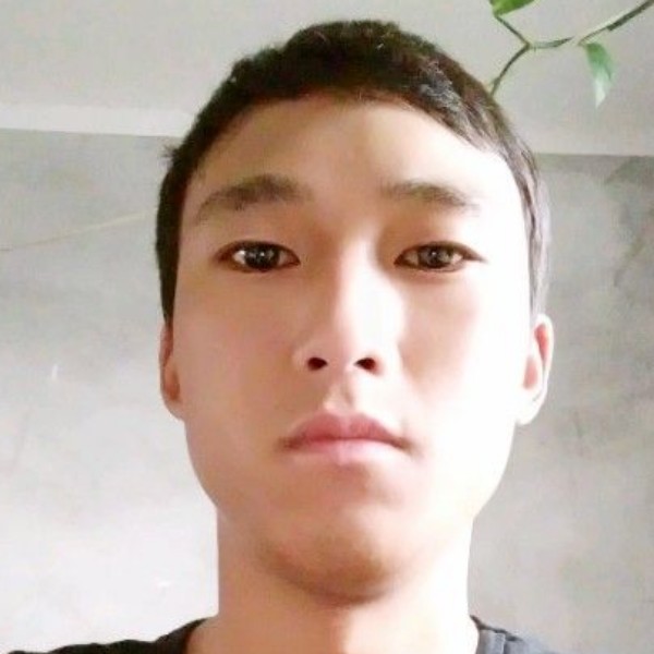 单薄拾忆金毛的照片