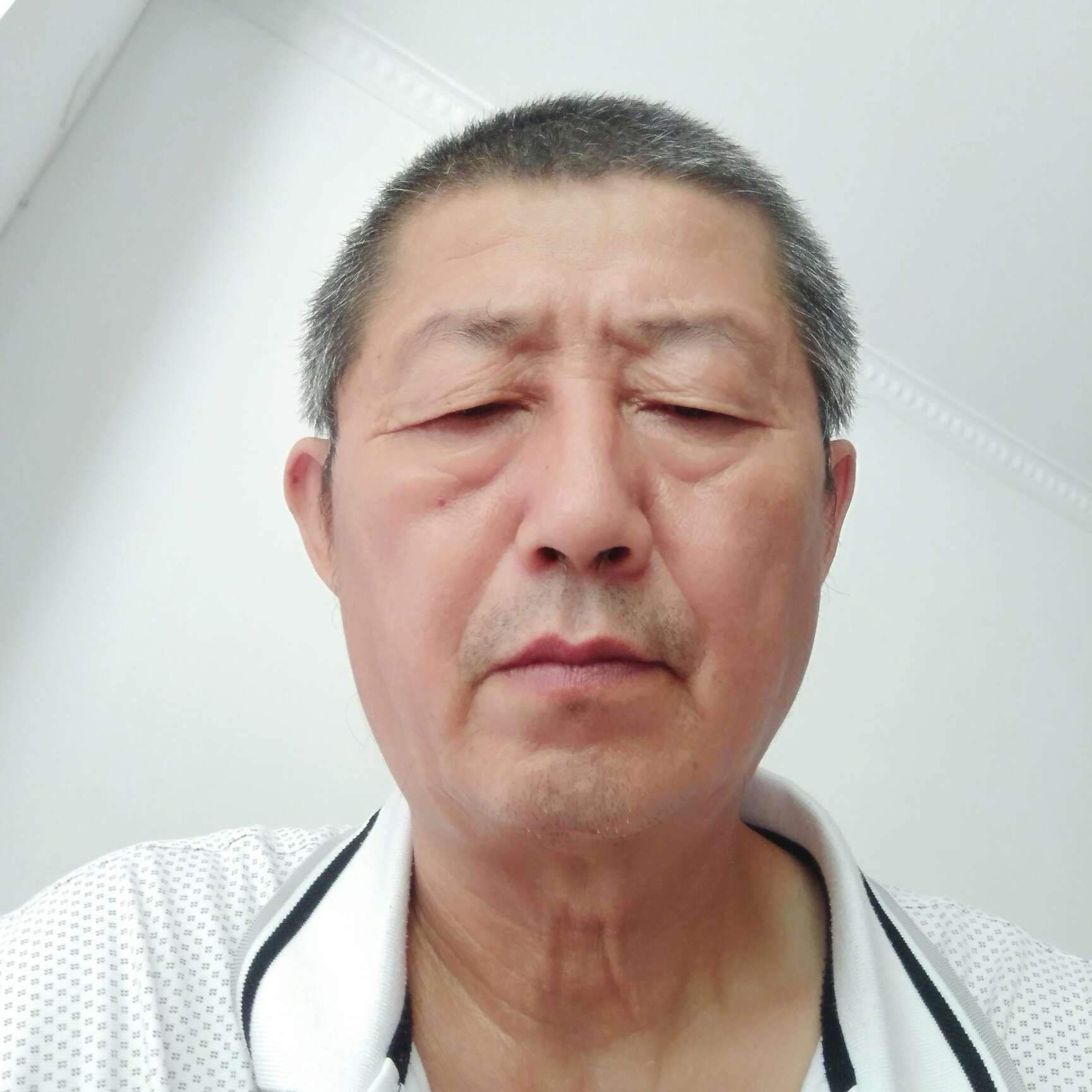 海燕遇見孝顺的照片